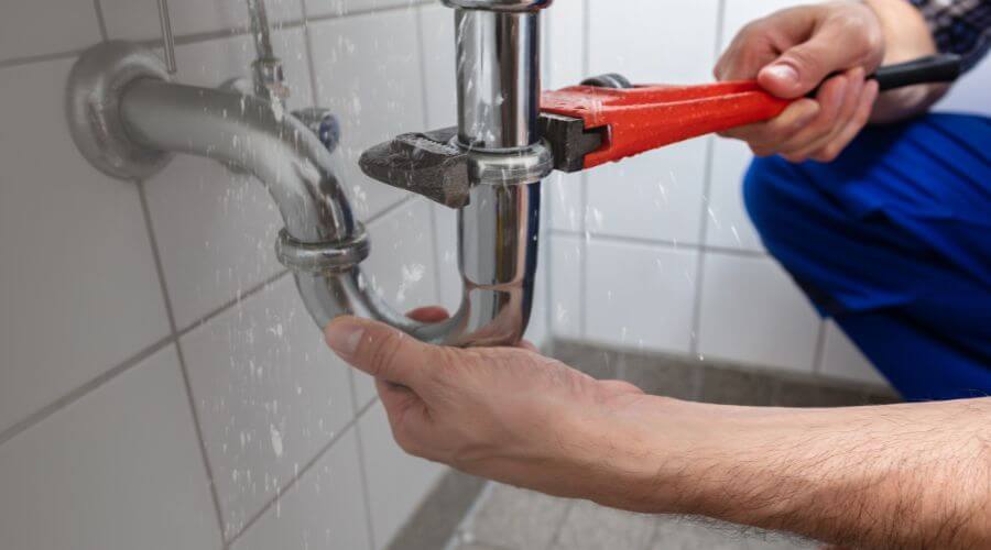 Thermal Imaging Leak Detection in Wimauma, FL